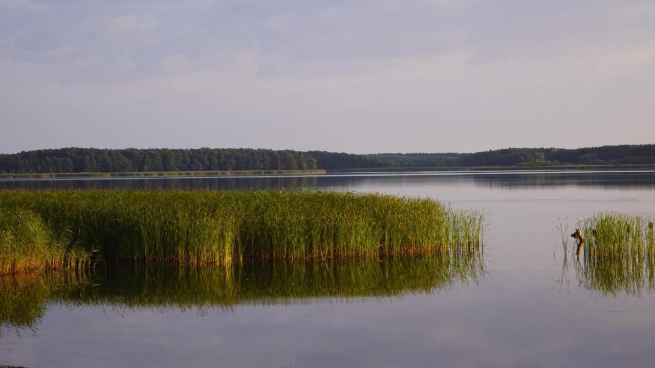 Yacht Club Apartamenty Radzyń Exteriör bild
