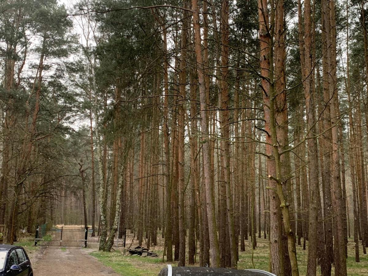 Yacht Club Apartamenty Radzyń Exteriör bild